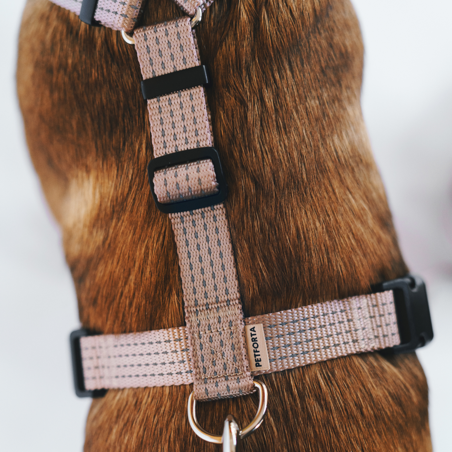 Anatomical Dog Harness - beige color