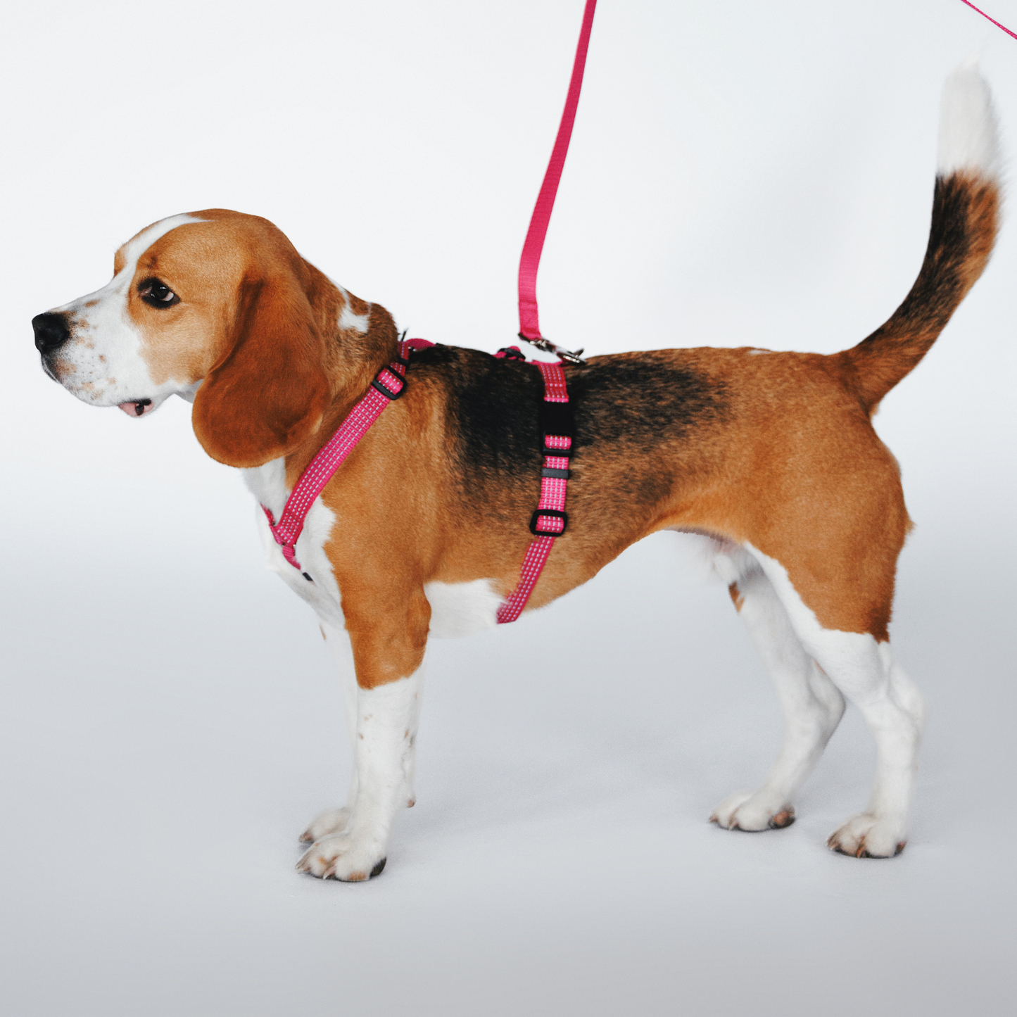Anatomical Dog Harness - pink color