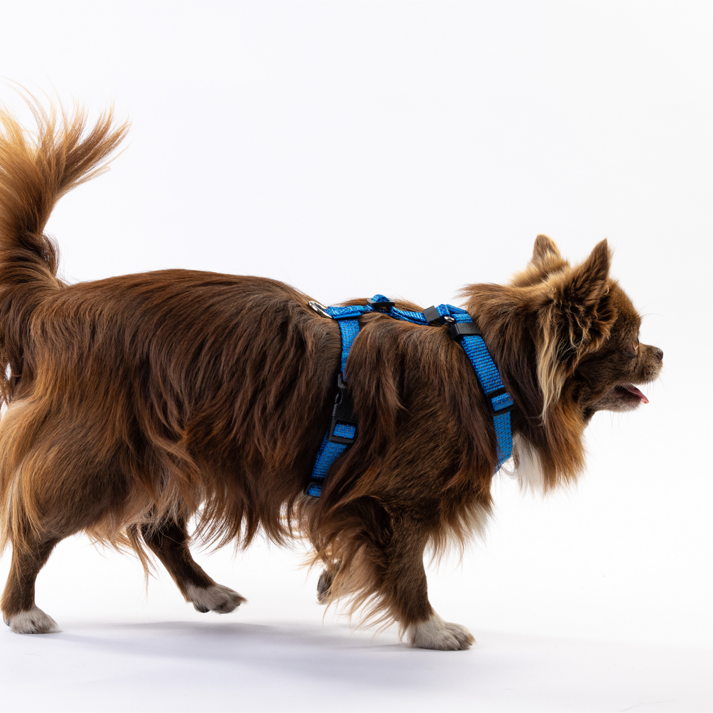 Anatomical Dog Harness - deep blue color