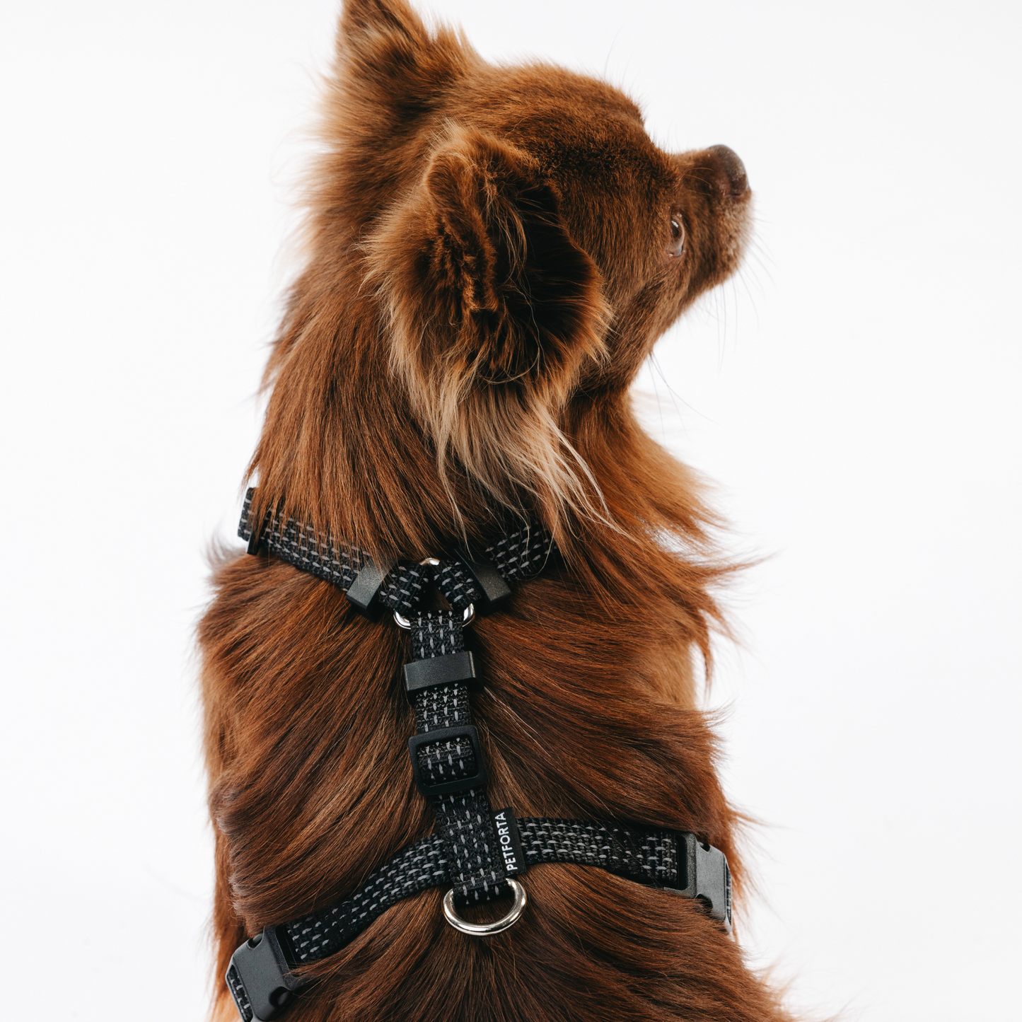 Anatomical Dog Harness - black color