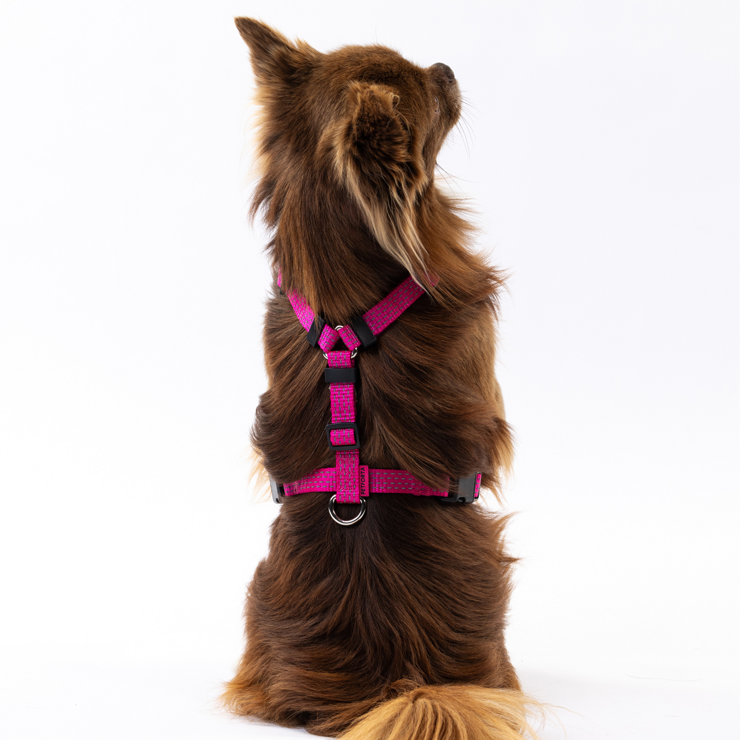 Anatomical Dog Harness - pink color