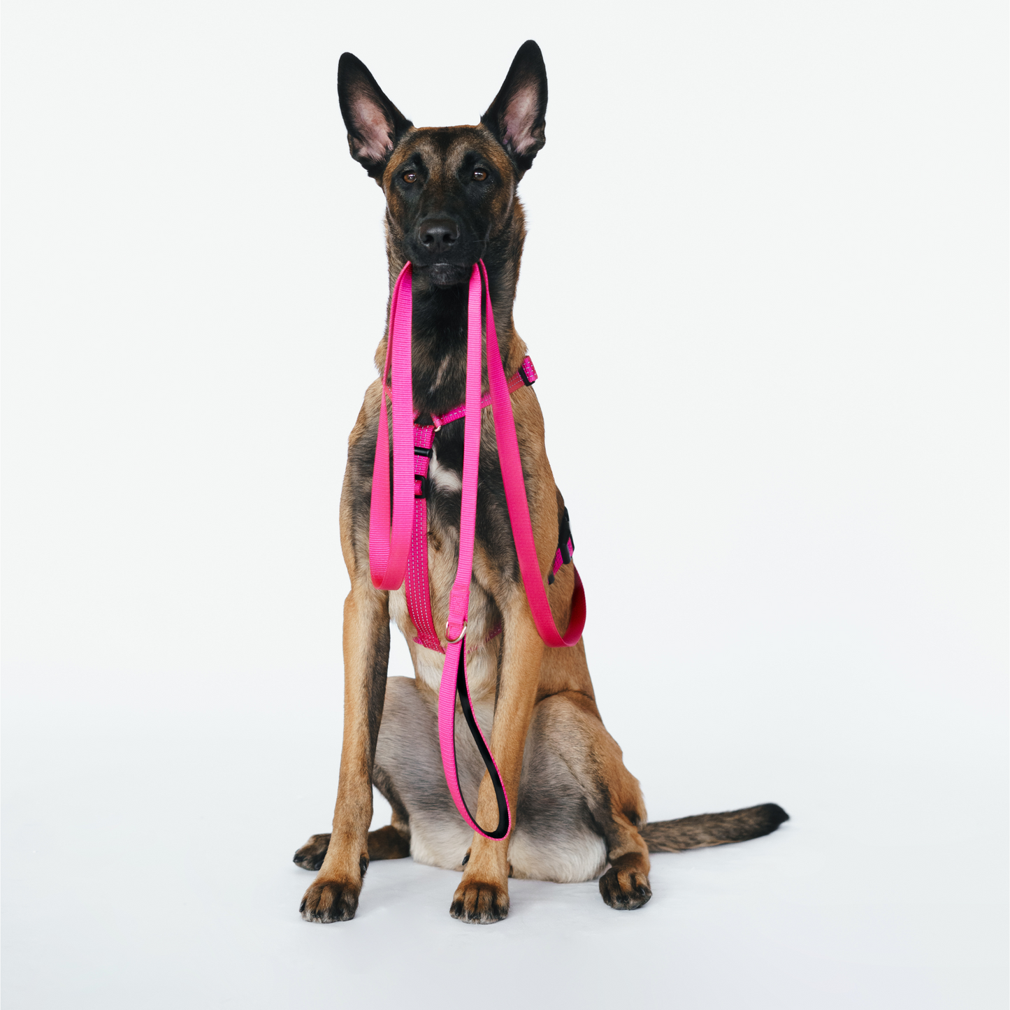 Anatomical Dog Harness - pink color