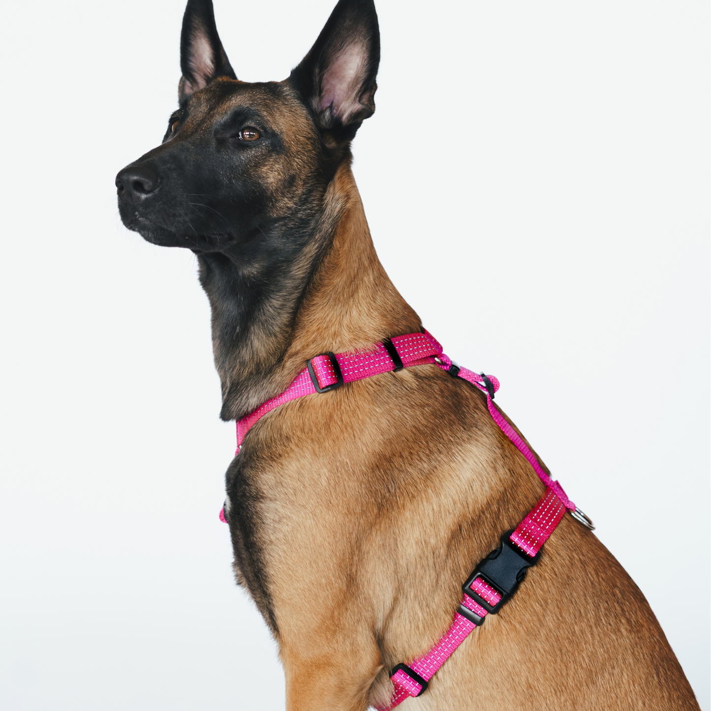 Anatomical Dog Harness - pink color