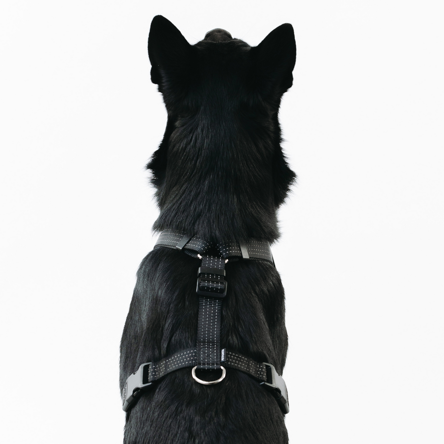 Anatomical Dog Harness - black color