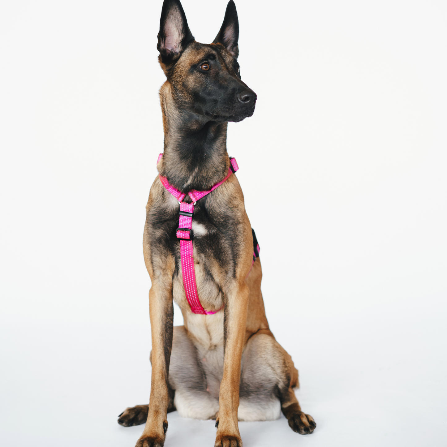 Anatomical Dog Harness - pink color