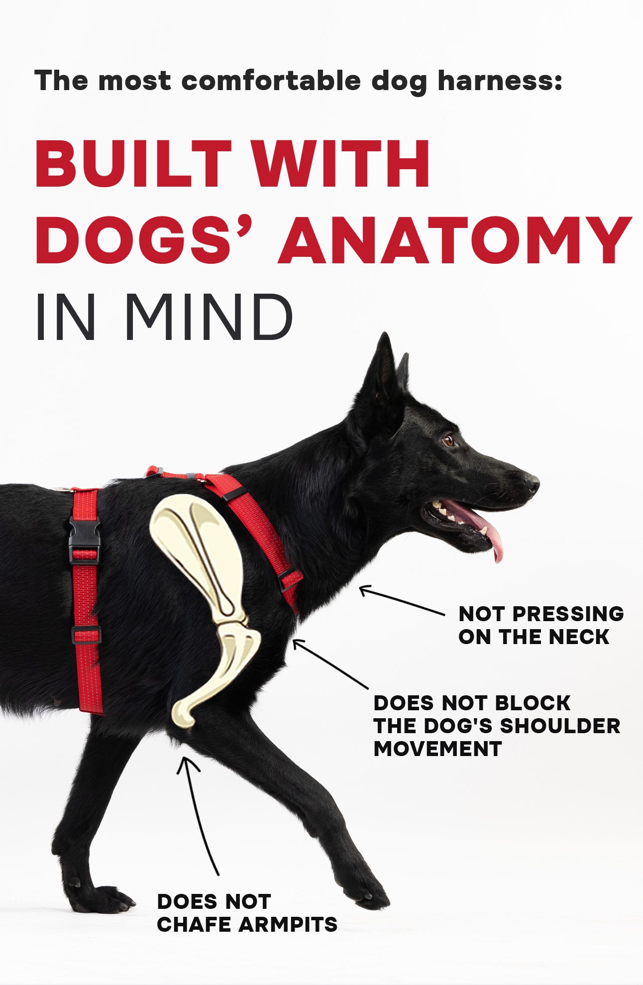 Anatomical Dog Harness - beige color