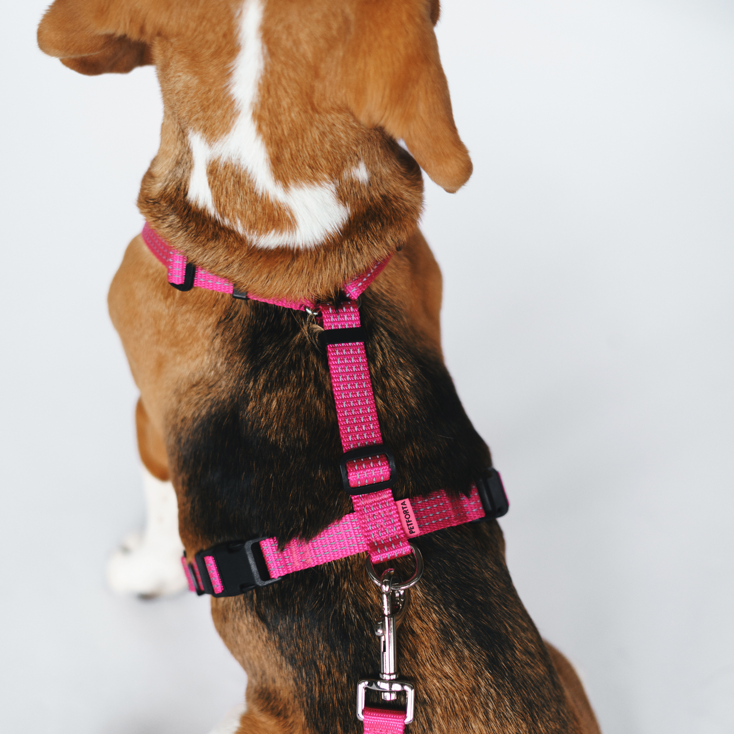 Anatomical Dog Harness - pink color