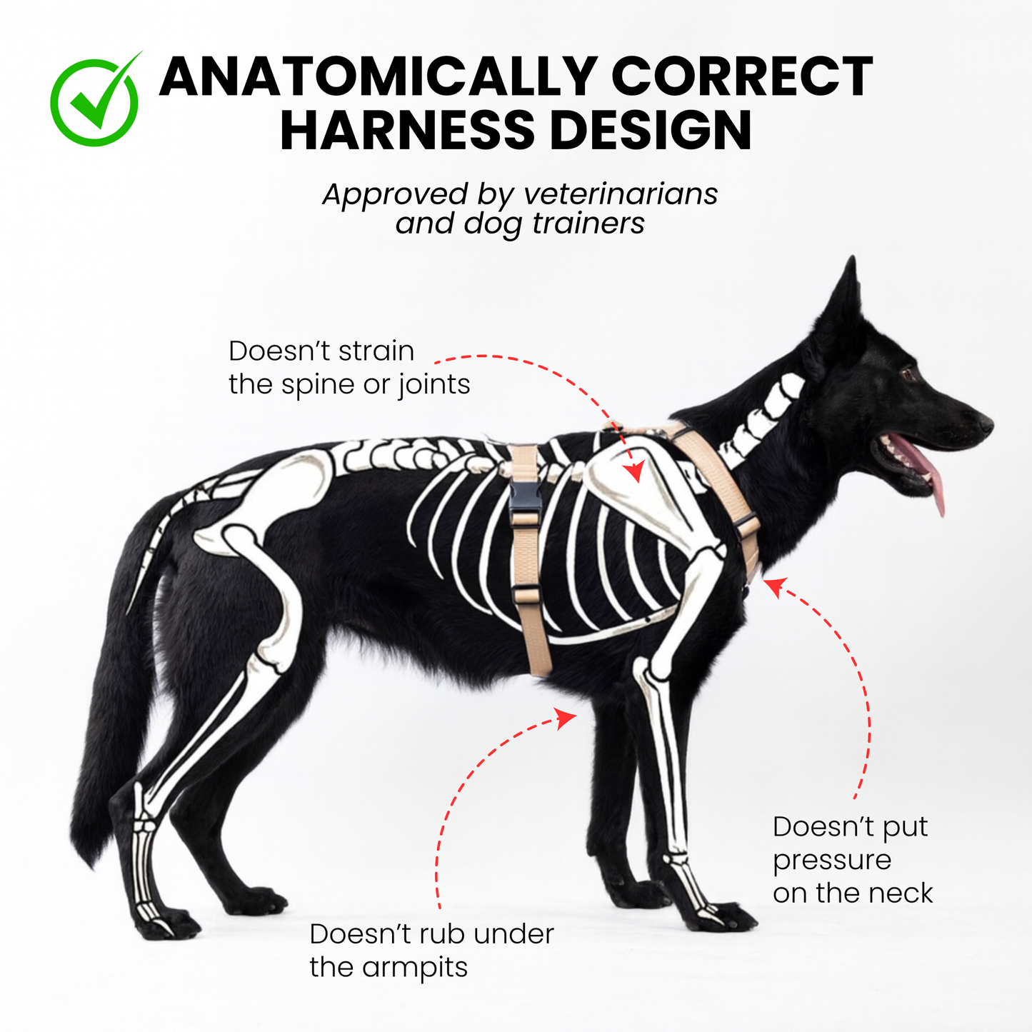 Anatomical Dog Harness - beige color
