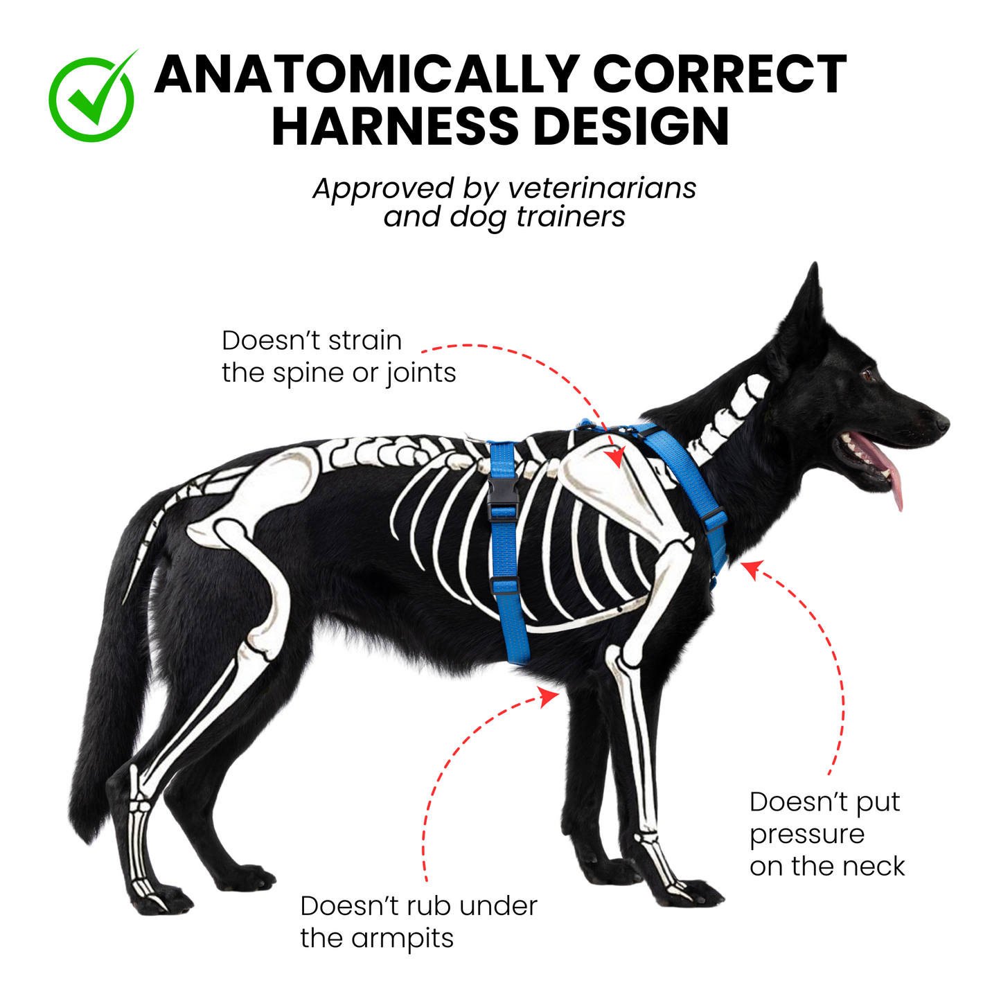 Anatomical Dog Harness - deep blue color