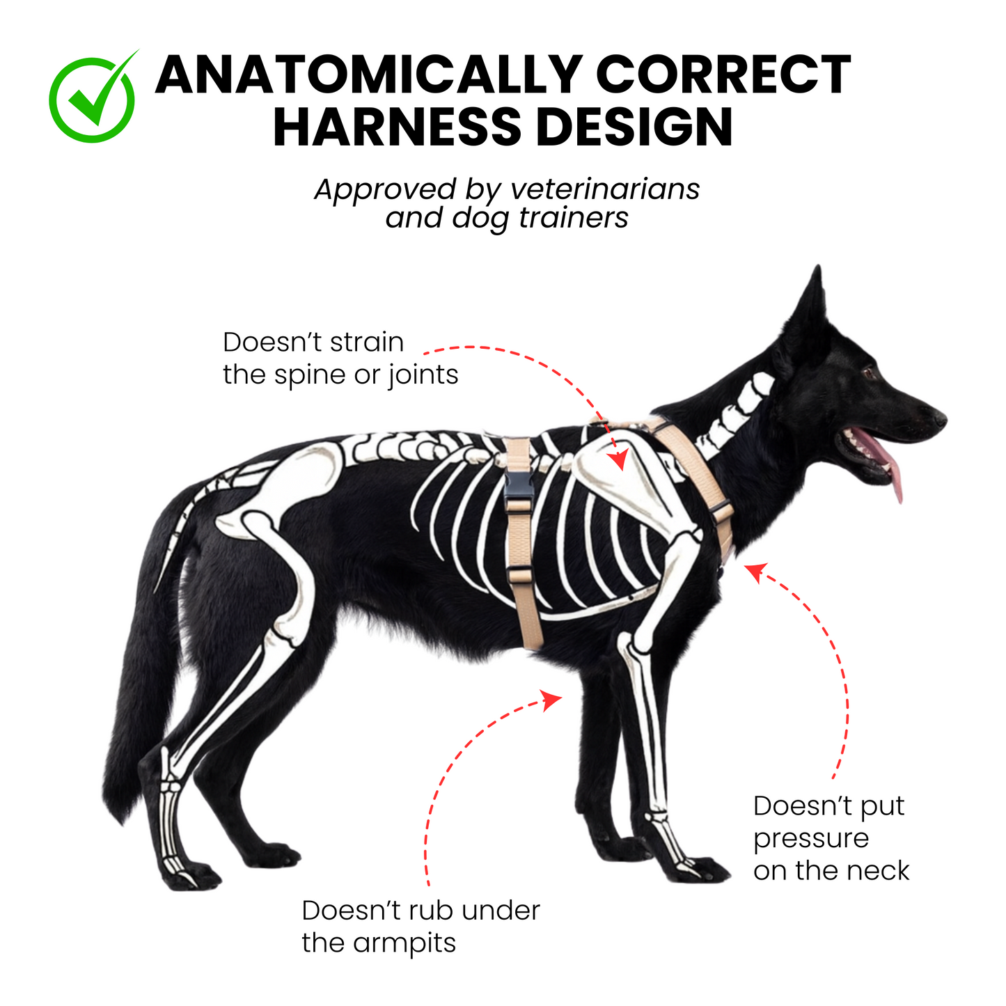 Anatomical Dog Harness - black color