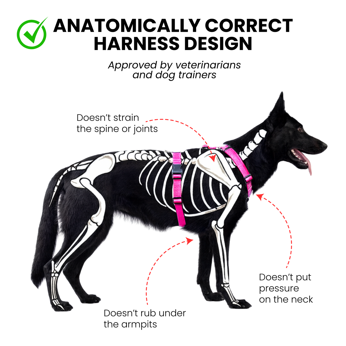 Anatomical Dog Harness - pink color