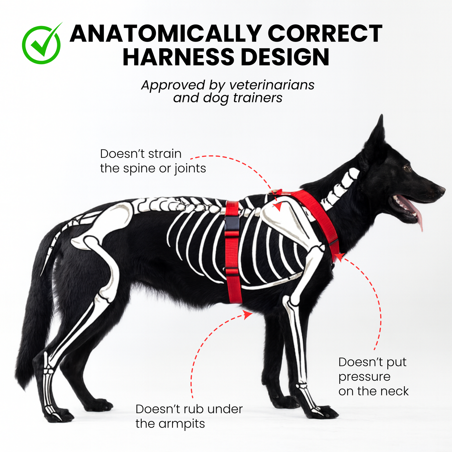 Anatomical Dog Harness - red color