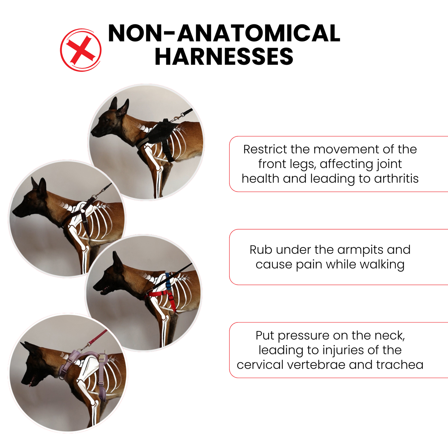 Anatomical Dog Harness - black color