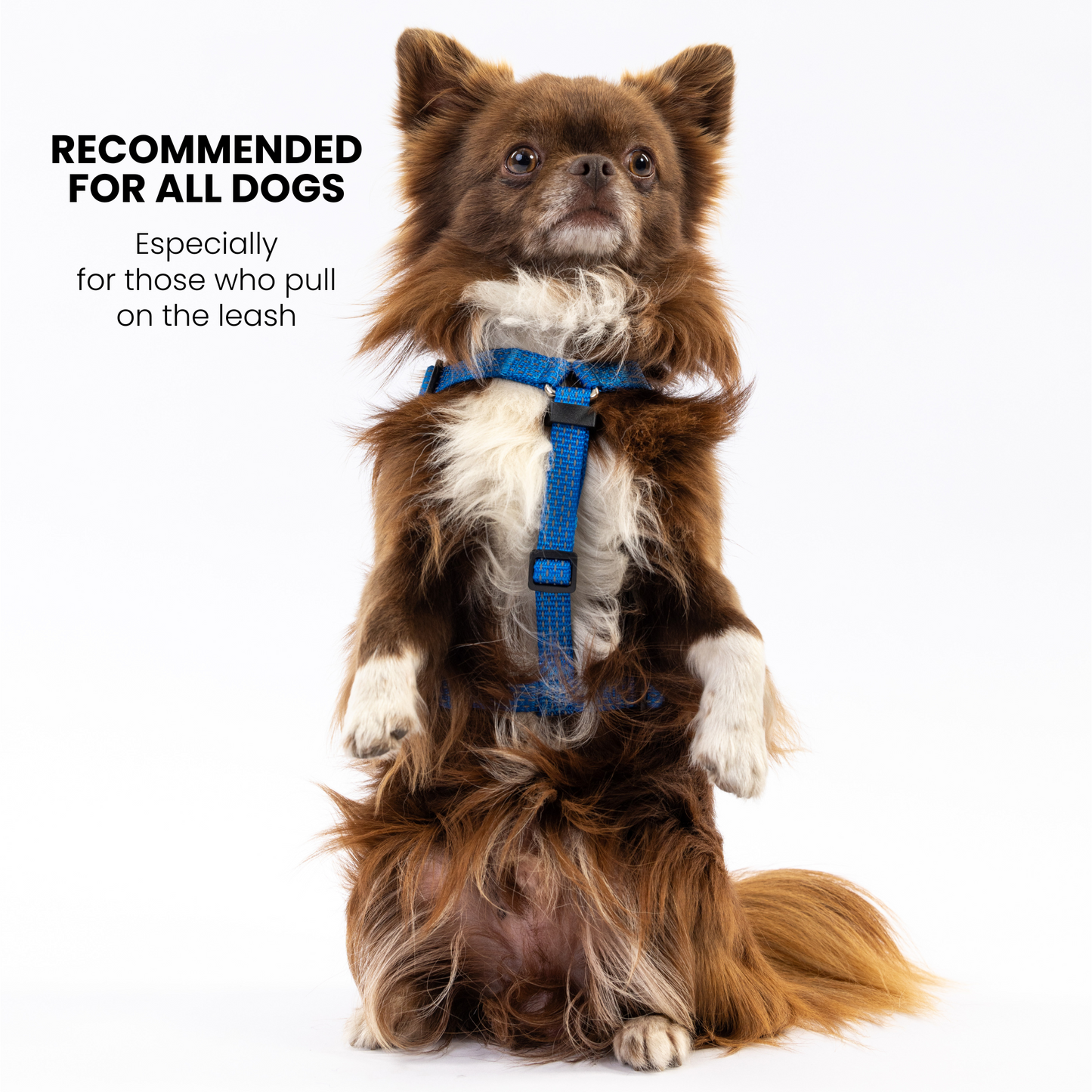 Anatomical Dog Harness - deep blue color