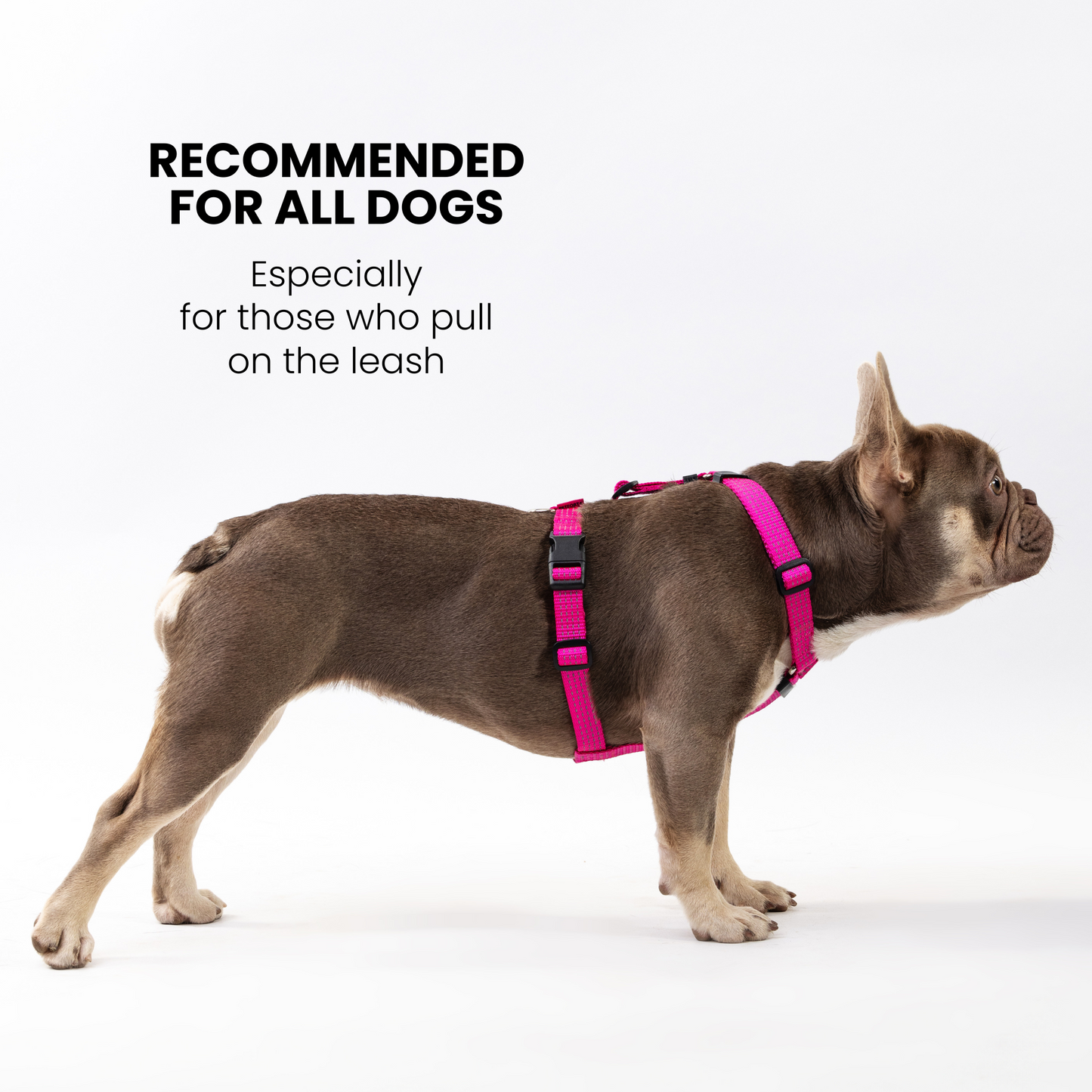 Anatomical Dog Harness - pink color
