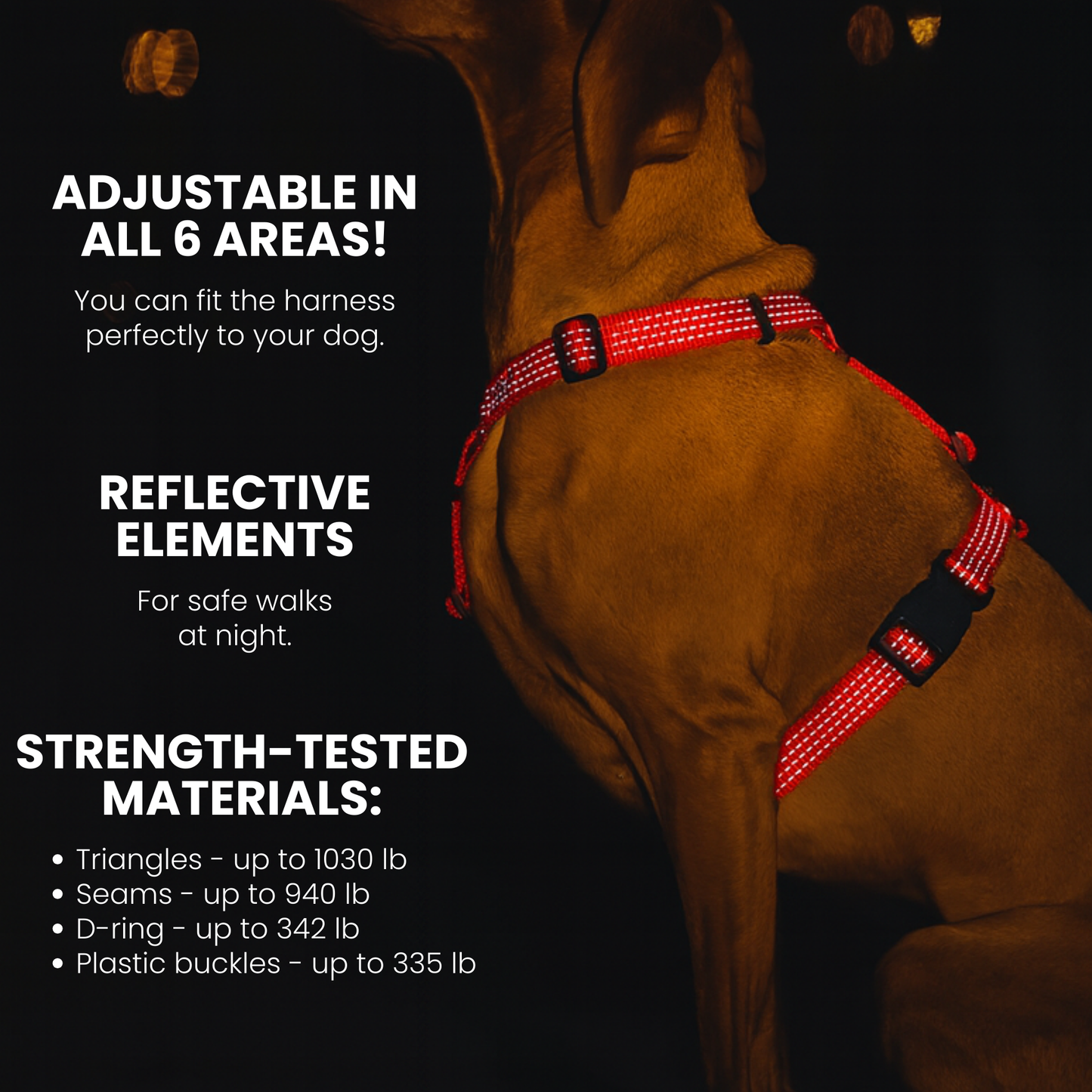 Anatomical Dog Harness - red color