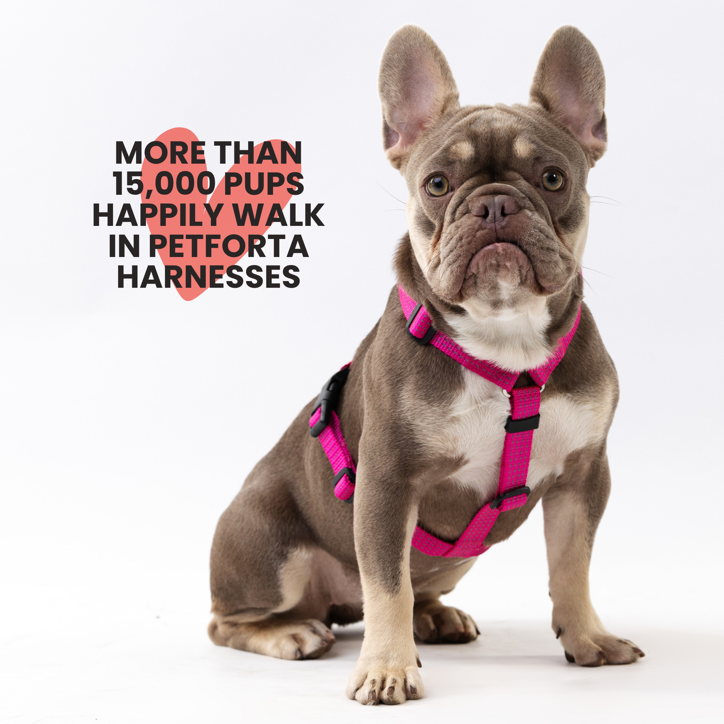 Anatomical Dog Harness - pink color