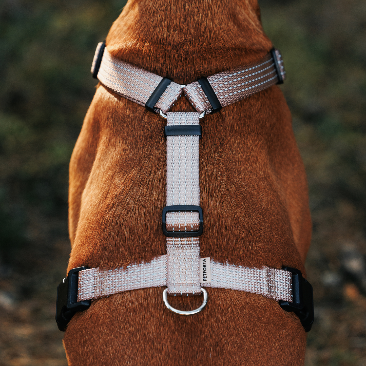 Anatomical Dog Harness - beige color