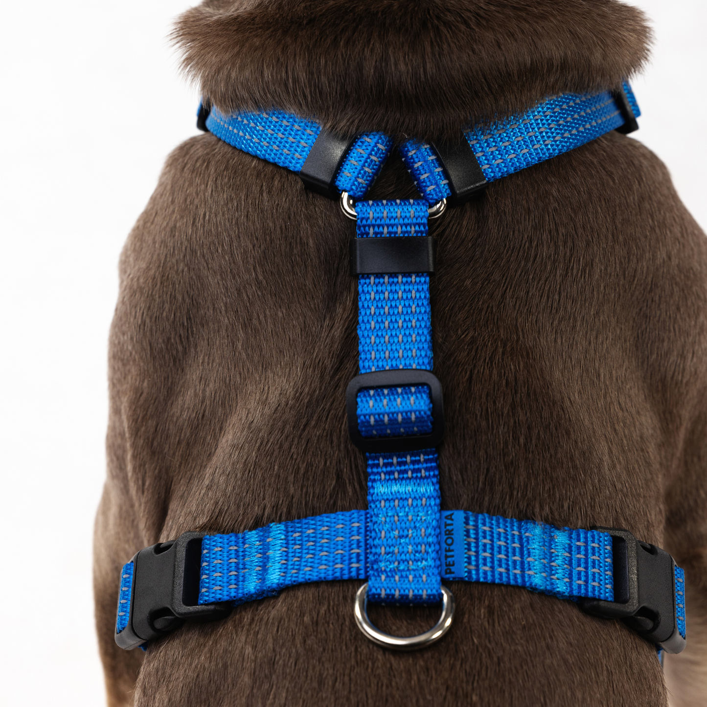 Anatomical Dog Harness - deep blue color