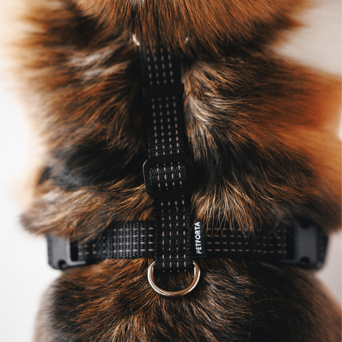 Anatomical Dog Harness - black color