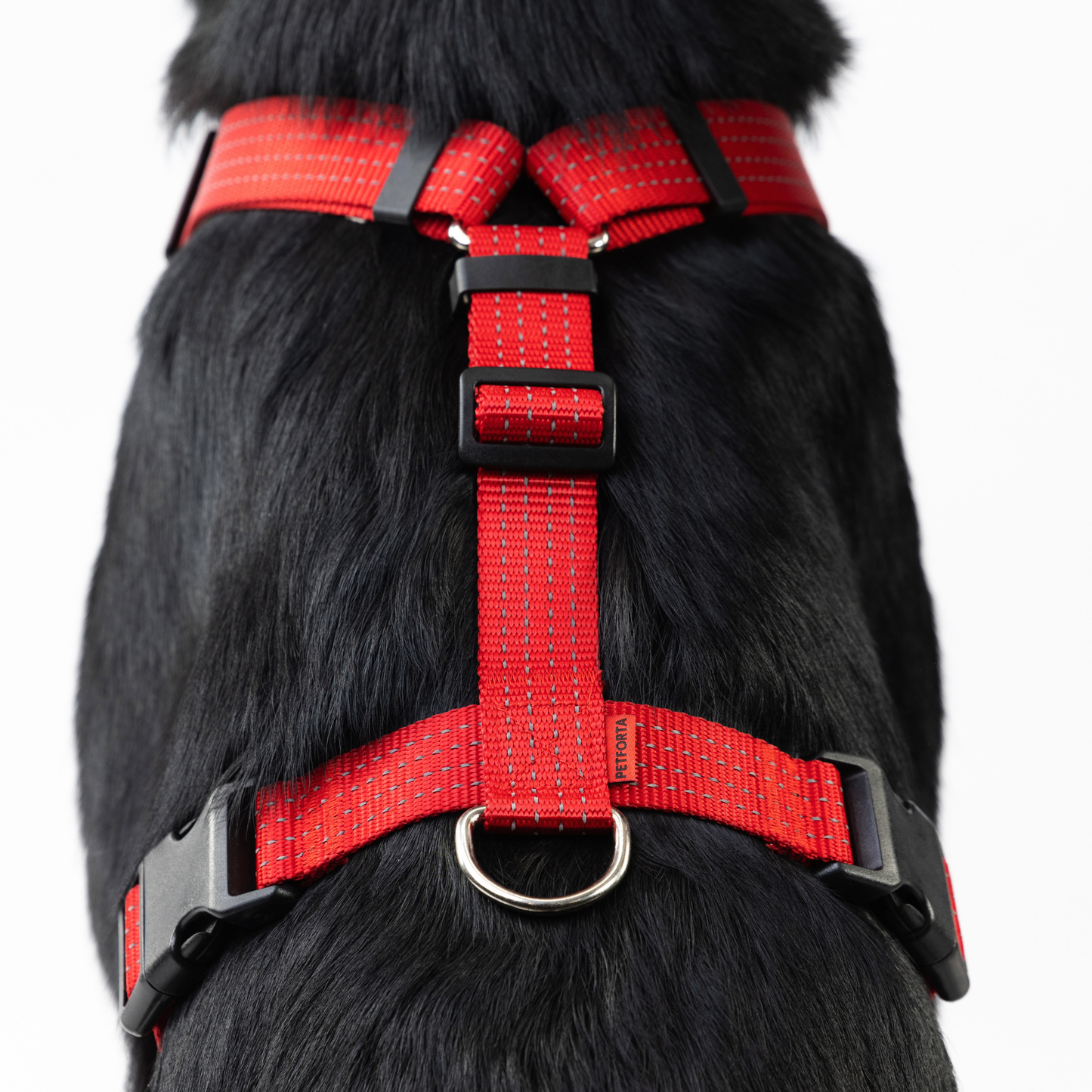 Anatomical Dog Harness - red color