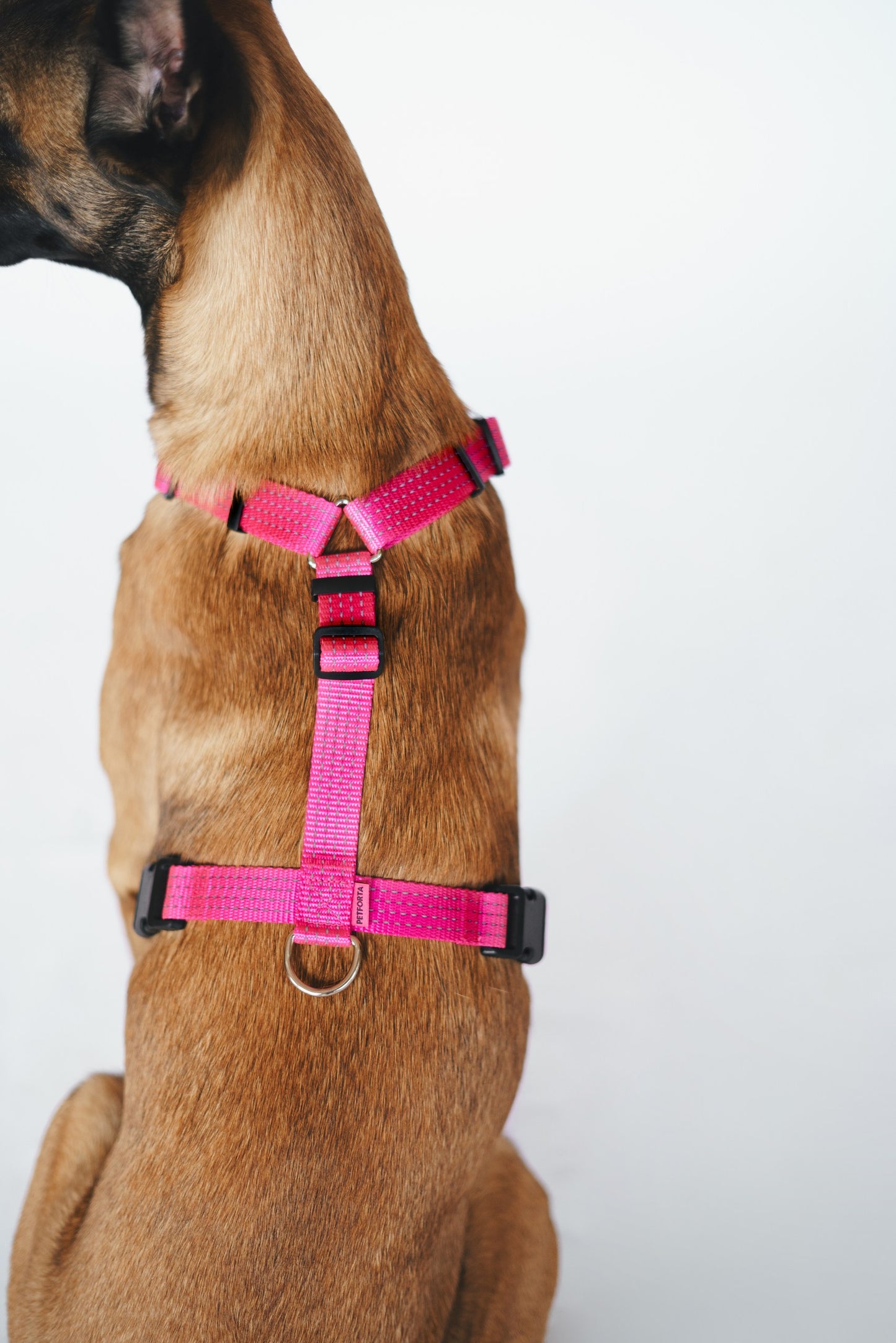 Anatomical Dog Harness - pink color