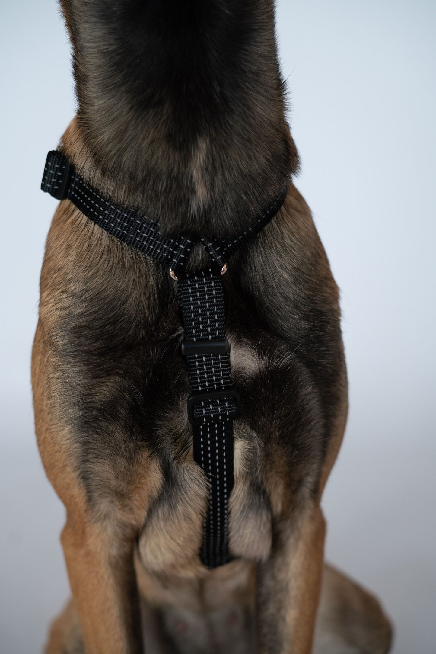 Anatomical Dog Harness - black color