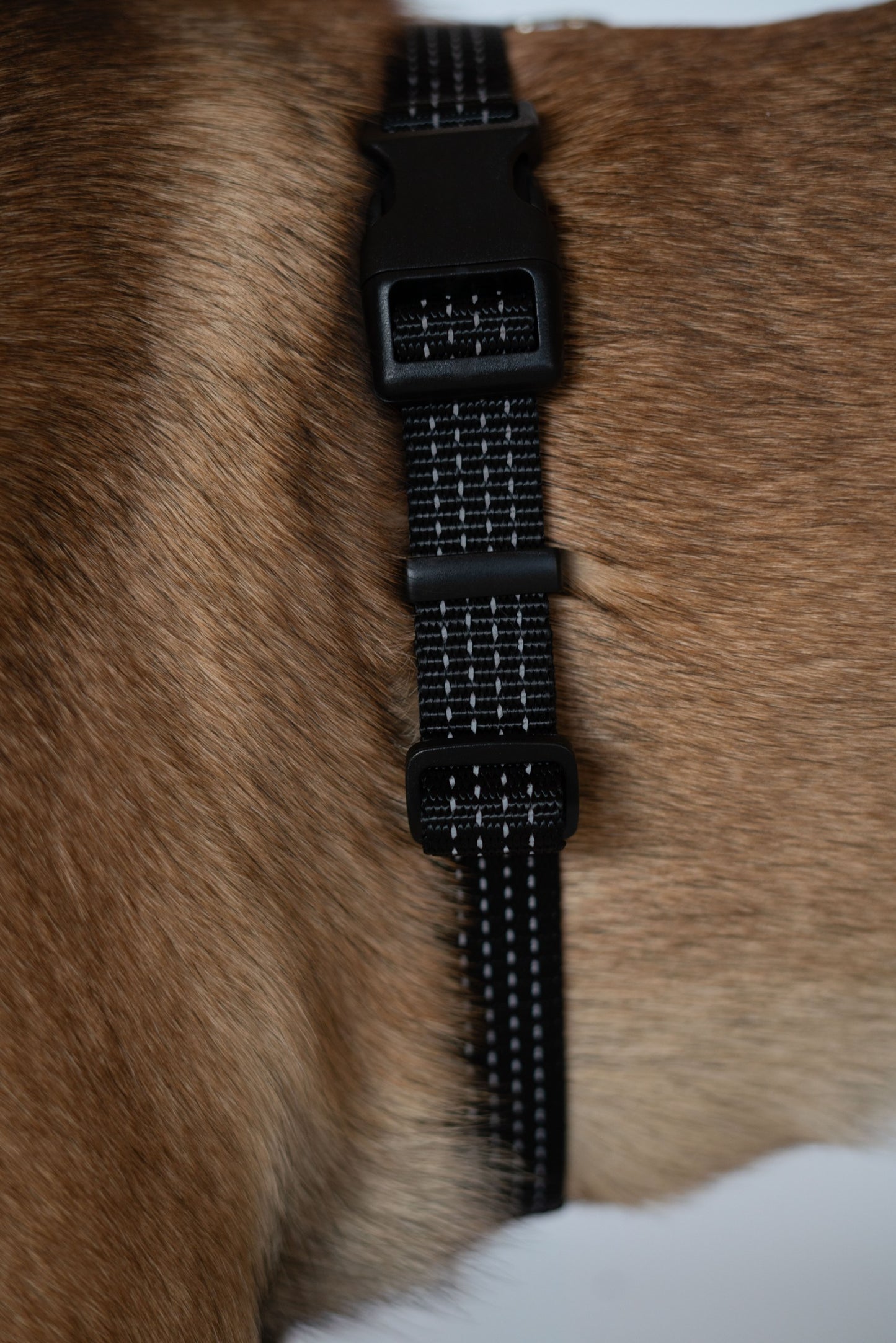 Anatomical Dog Harness - black color