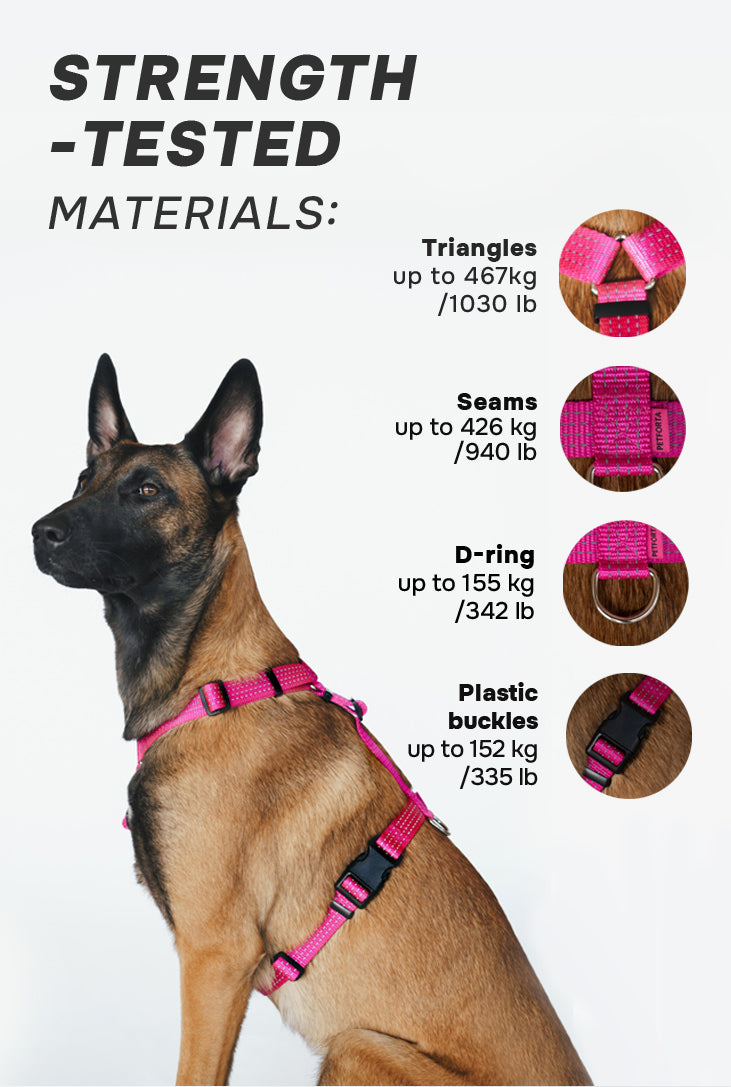 Anatomical Dog Harness - beige color