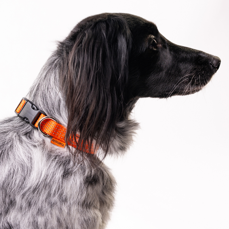 Collars
