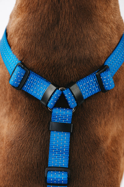 Anatomical Dog Harness - deep blue color