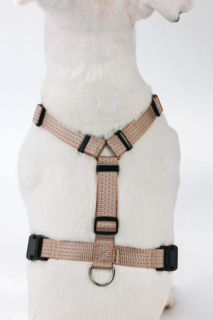 Anatomical Dog Harness - beige color