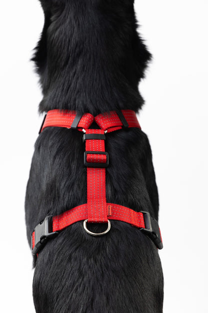 Anatomical Dog Harness - red color