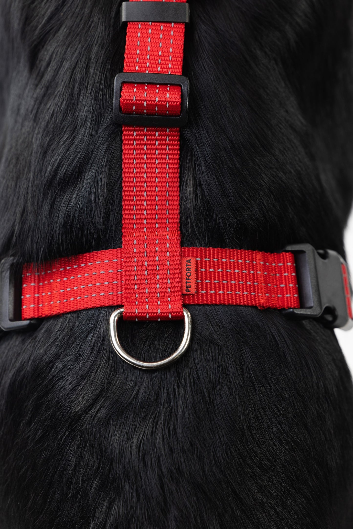 Anatomical Dog Harness - red color