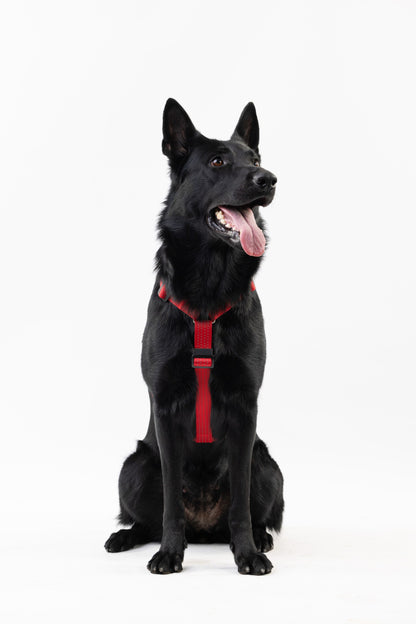 Anatomical Dog Harness - red color