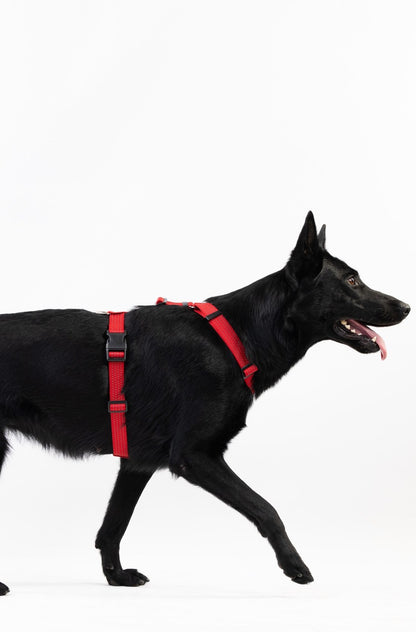 Anatomical Dog Harness - red color