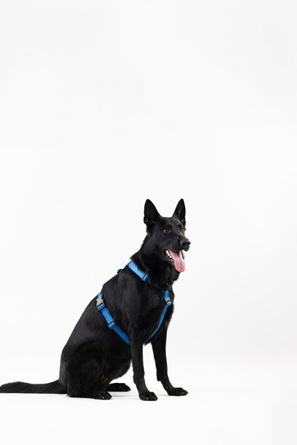 Anatomical Dog Harness - deep blue color