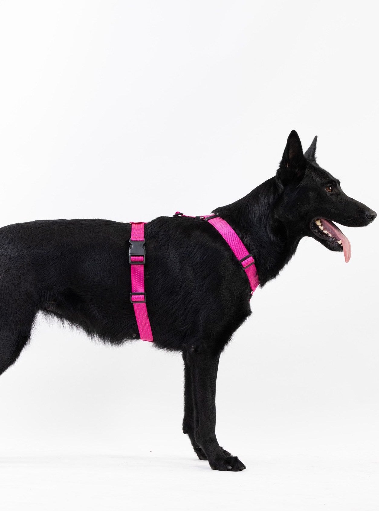 Anatomical Dog Harness - pink color