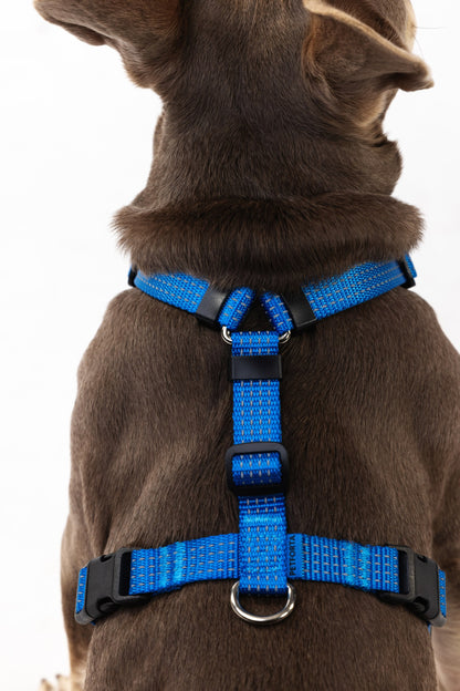 Anatomical Dog Harness - deep blue color