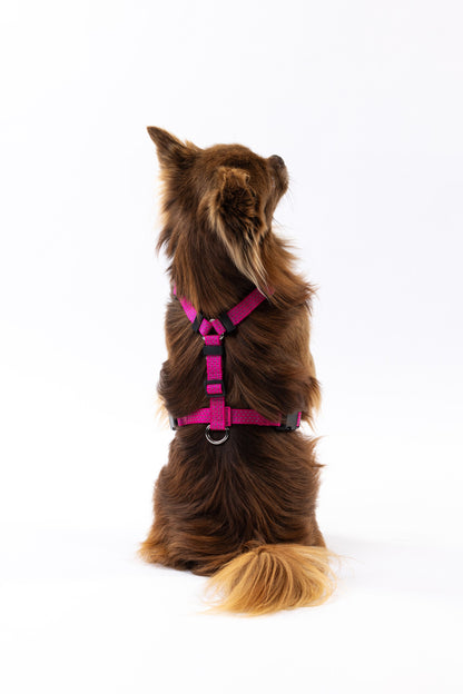 Anatomical Dog Harness - pink color