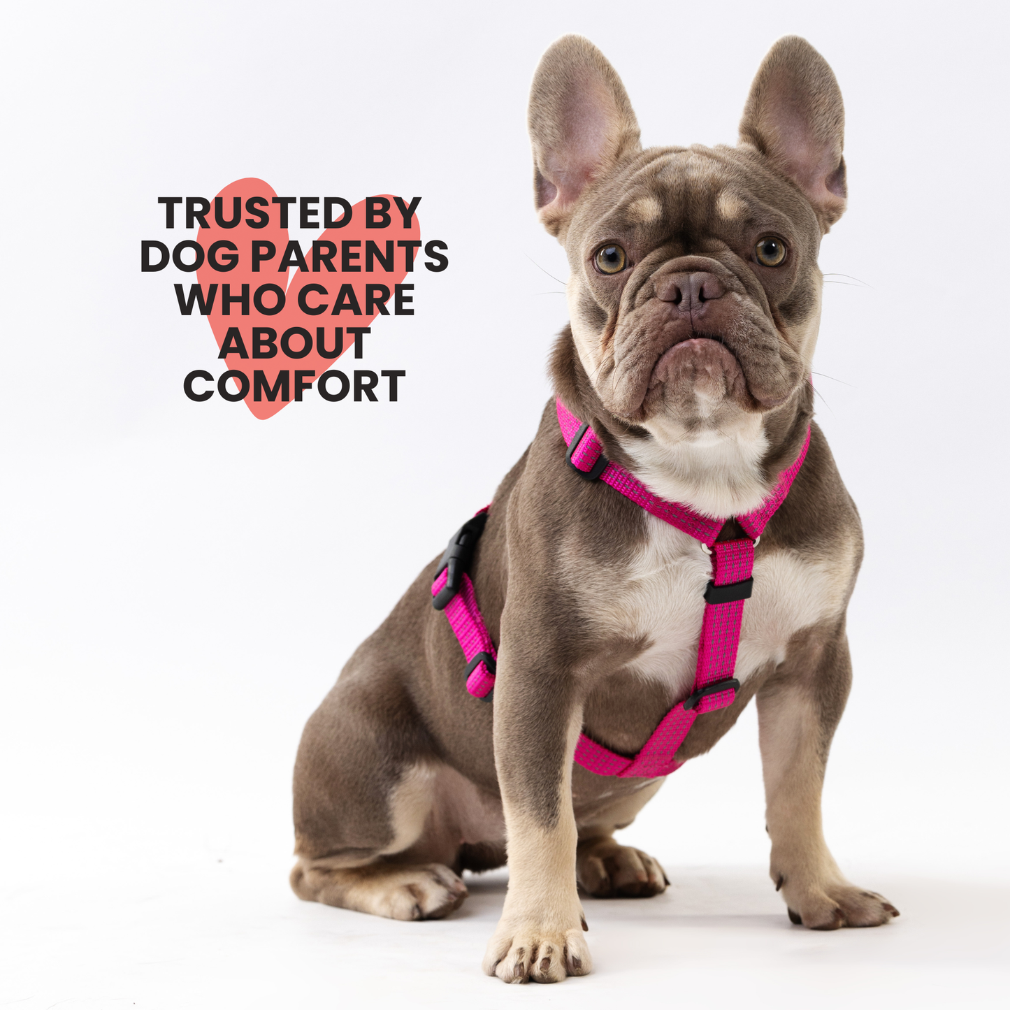 Anatomical Dog Harness - pink color