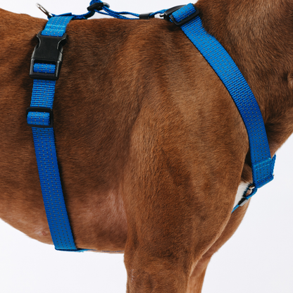 Anatomical Dog Harness - deep blue color