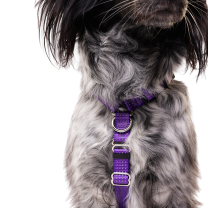 Anatomical No Pull Dog Harness - purple color