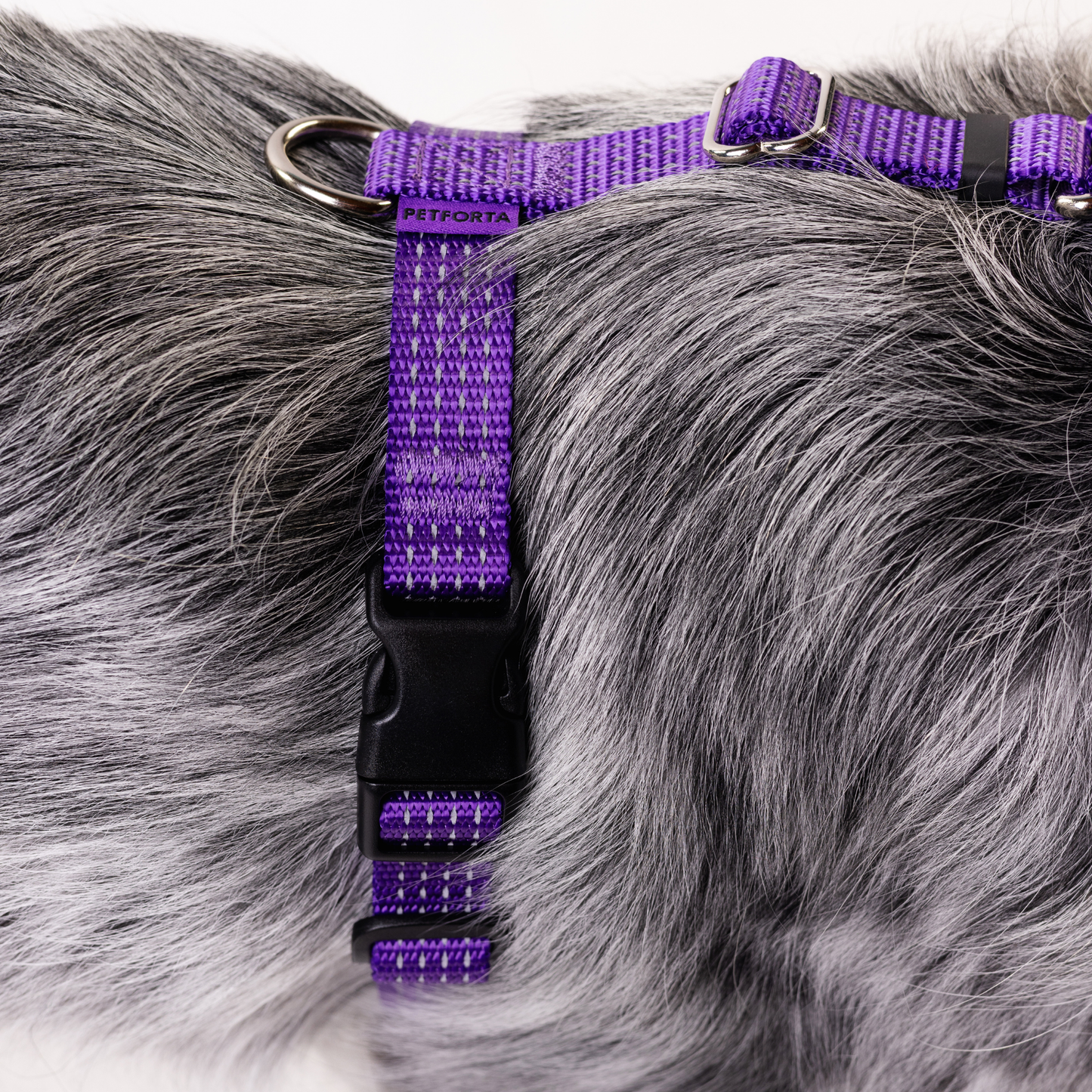 Anatomical No Pull Dog Harness - purple color