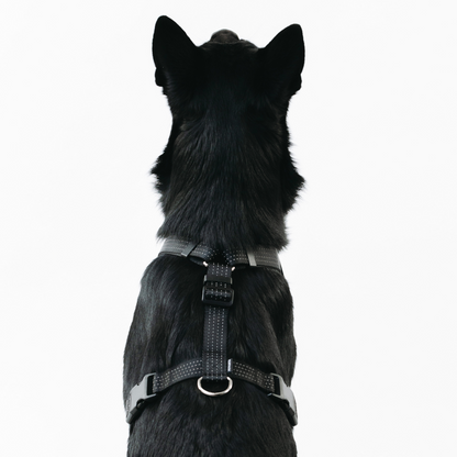 Anatomical Dog Harness - black color