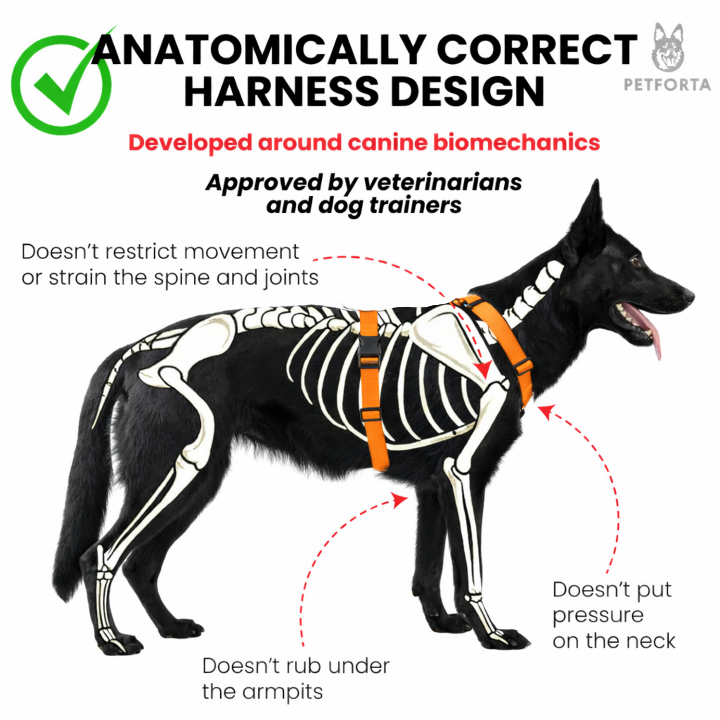 Anatomical No Pull Dog Harness - orange color