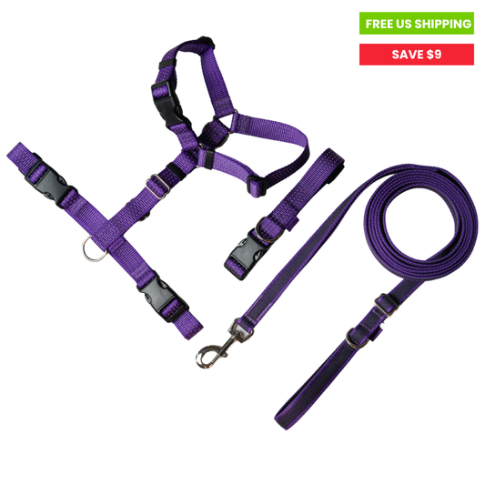 Anatomical Dog Harness, Leash & Collar - Purple Set