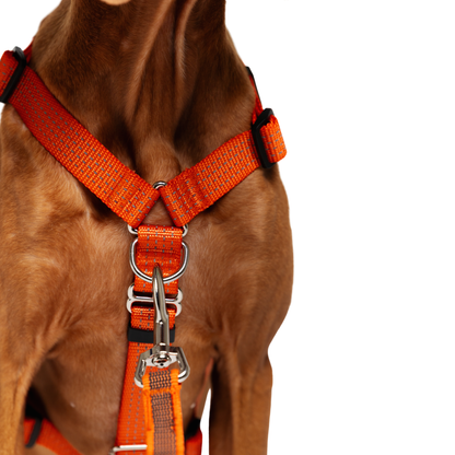 Anatomical No Pull Dog Harness - orange color