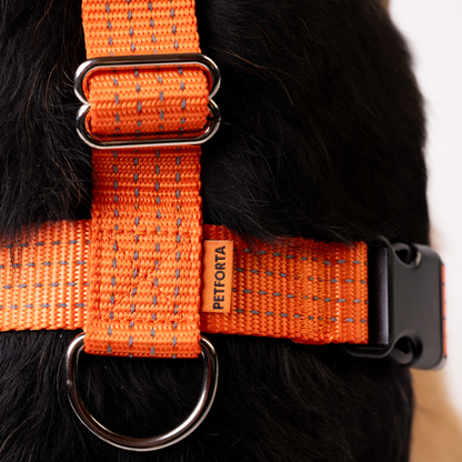 Anatomical No Pull Dog Harness - orange color