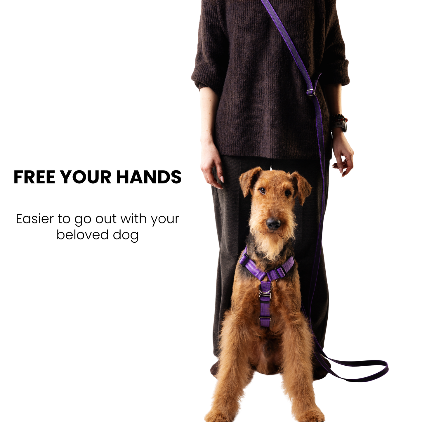 Hands Free Adjustable 4 in 1 Dog Leash - purple color